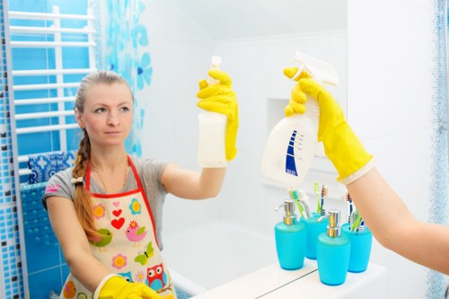 Professional carpet cleaning in a Belsizepark home