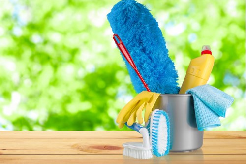 Professional sofa cleaning in Belsizepark for a fresh living room