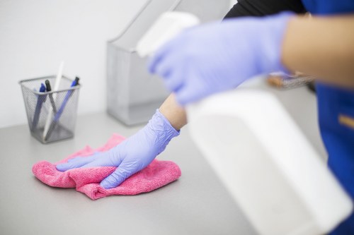 Professional cleaning service for homes in Belsizepark