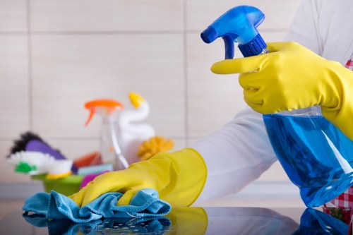 Transparent cleaning and waste removal pricing in Belsize Park with a free quote focus