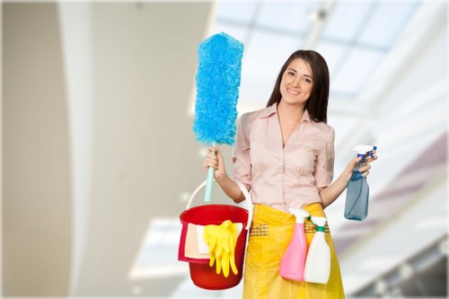 Belsize Park cleaning services with tools and eco-friendly products