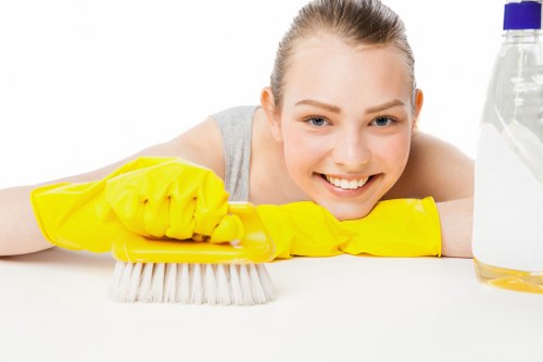 Bathroom deep cleaning and limescale removal