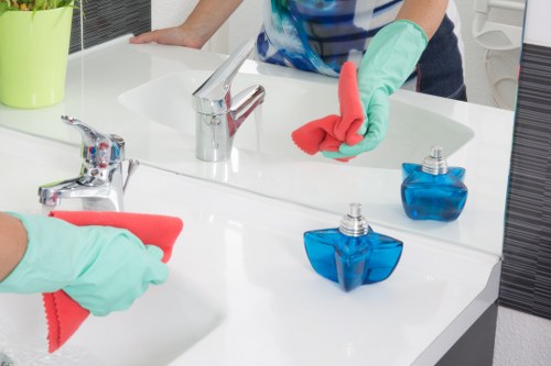 Accepted payment methods for Belsizepark Cleaner including card and PayPal options