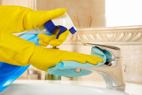 Deep carpet cleaning equipment in Belsizepark apartment
