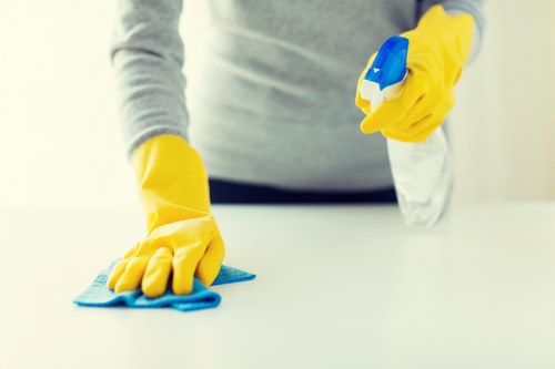 Cleaning professional preparing a booked service area