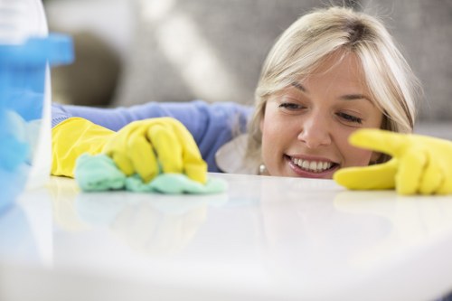Customer booking a cleaning appointment online