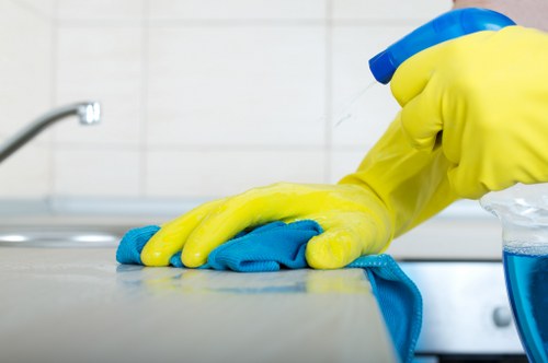 Deep cleaning a bathroom in Belsizepark