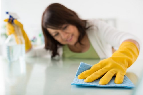 Deep carpet cleaning equipment being used in a Belsizepark home