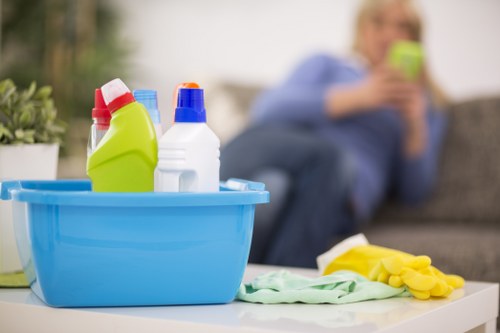 Cleaner reviewing service instructions before work begins