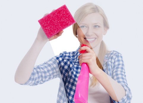 Belsizepark cleaner providing thorough domestic cleaning support