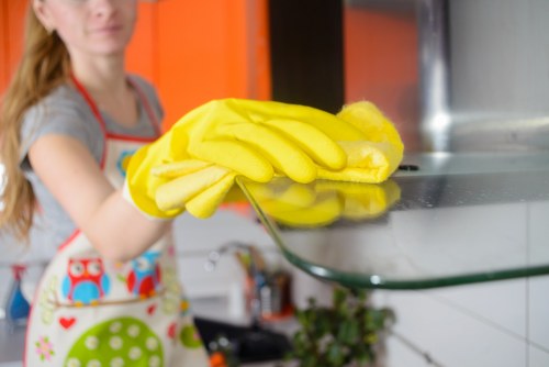Trusted Belsize Park cleaner performing deep cleaning tasks