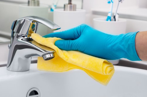 Detailed hard floor maintenance in Belsizepark